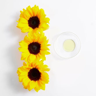 Girasol (aceite de) Girasol (aceite de)