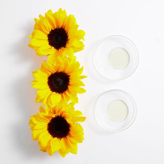 Girasol (insaponificables) Girasol (insaponificables)