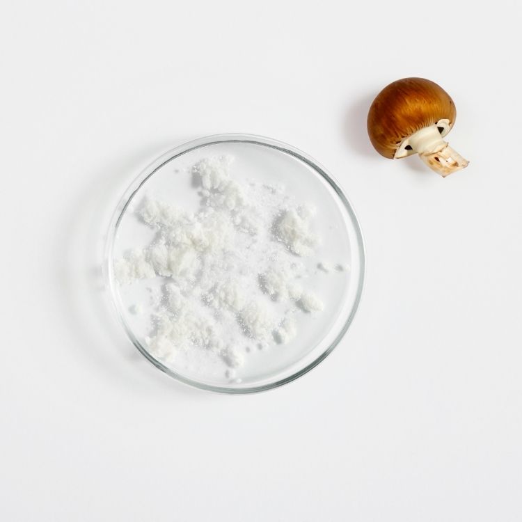 Acetilglucosamina