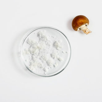 Acetilglucosamina