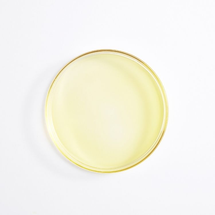 Aceite de camelina