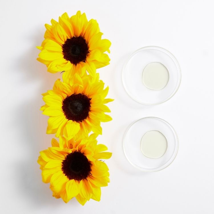 Girasol (insaponificables)