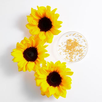 Girasol (lecitina de)