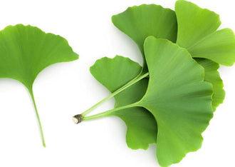 Ginkgo Biloba (extracto de)